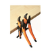 10549776-g.png