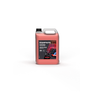 SHAMP'AUTO - SHAMPOING CARROSSERIE CONCENTRE