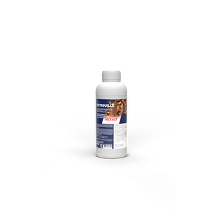 FIX'ROUILLE - CONVERTISSEUR DE ROUILLE - 1L