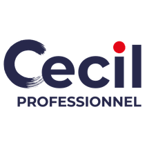 V33 - CECIL