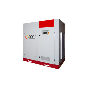 COMPRESSEUR A VIS A VITESSE VARIABLE STRONG VARIO